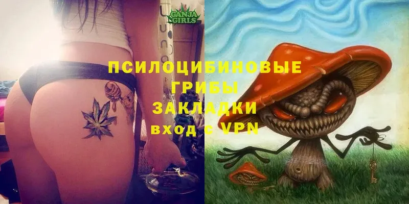 кракен зеркало  закладки  Зея  Псилоцибиновые грибы Magic Shrooms 